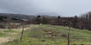 飯綱町川上の農地と山林。奥に飯縄山